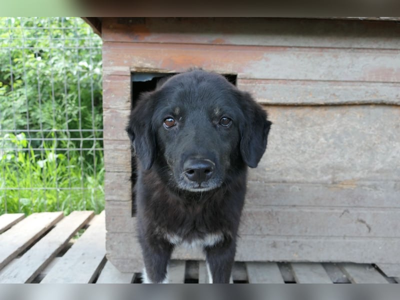 Amal sucht seine Menschen