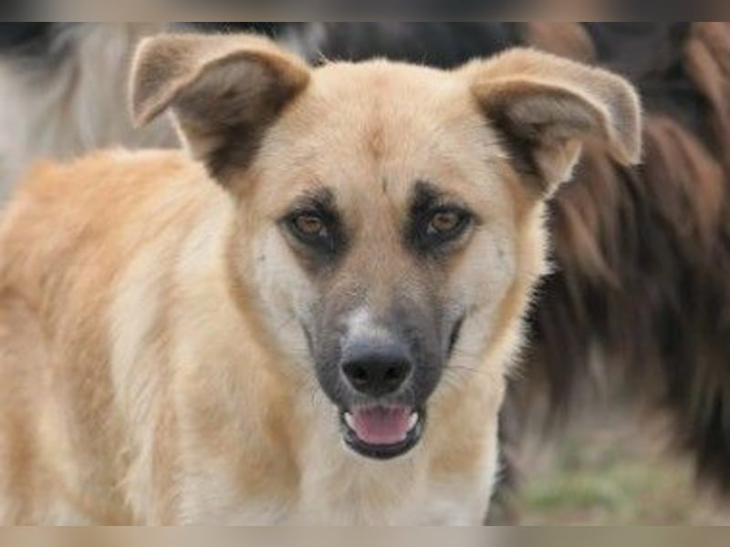 Hübsche Najma sucht ihre Menschen