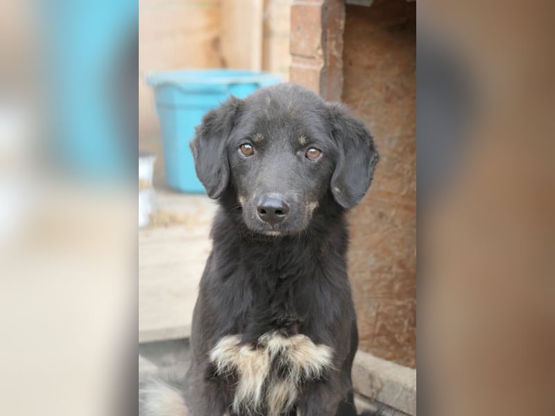 Amal sucht seine Menschen