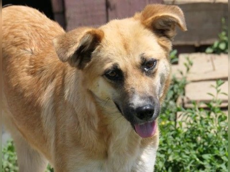 Hübsche Najma sucht ihre Menschen