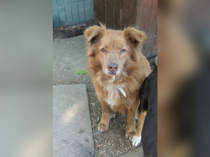 Kasper, wartet auf die lieben Menschen denen er vertrauen kann