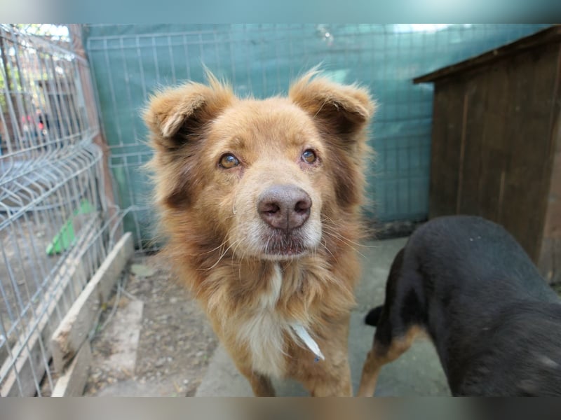 Kasper, wartet auf die lieben Menschen denen er vertrauen kann