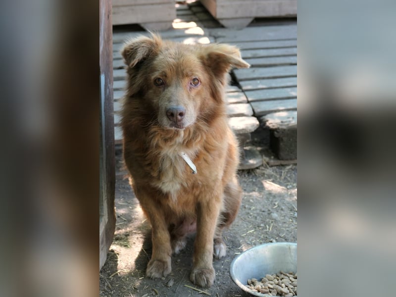 Kasper, wartet auf die lieben Menschen denen er vertrauen kann