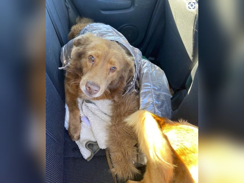 Kasper wartet auf seine Herzensmenschen die ihm zeigen, dass es sich lohnt Menschen zu Vertrauen