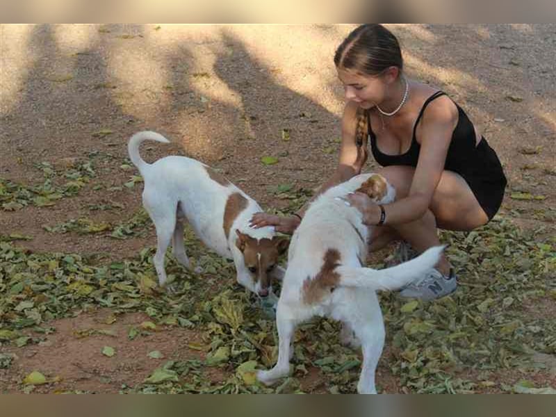 Benji und Dali werden nur gemeinsam vermittelt, da sie quasi „eins“ sind