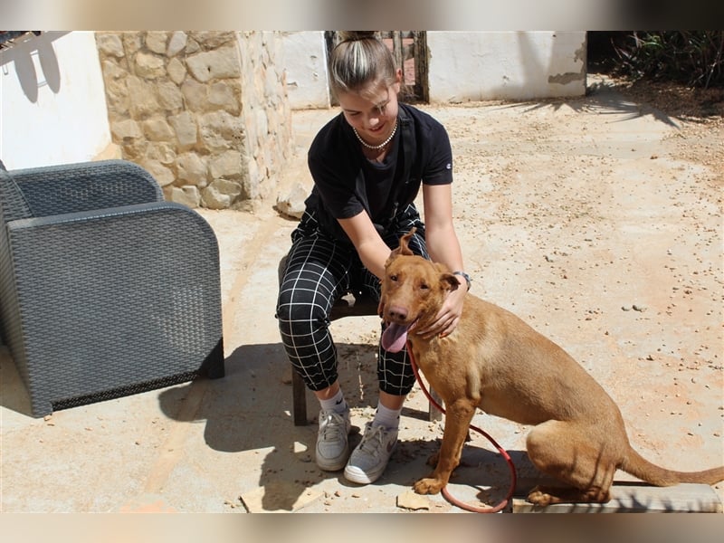 Carla – möchte den Menschen gefallen
