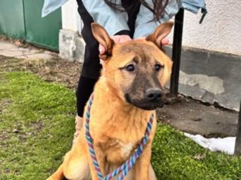 ATHENA-möchte sich die Welt durch Schnüffeln, Buddeln, Planschen, Toben und Herumjagen erkunden