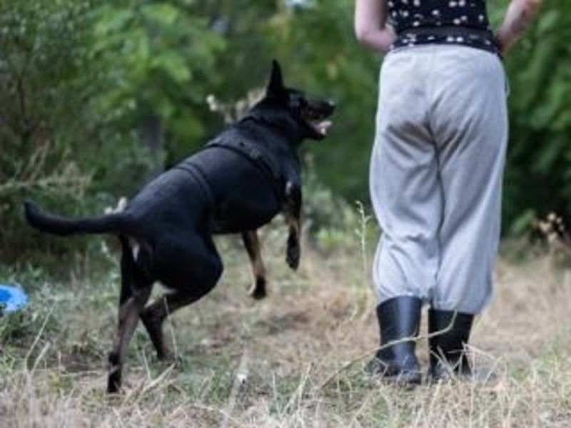 GLORIA- sehnt sich nach Liebe und Geborgenheit bei ihrer "Für-immer-Familie"