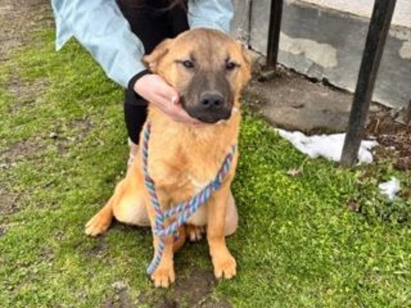 ATHENA-möchte sich die Welt durch Schnüffeln, Buddeln, Planschen, Toben und Herumjagen erkunden