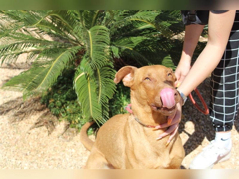 Carla – möchte den Menschen gefallen