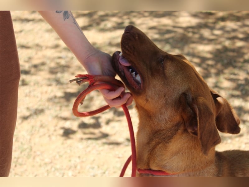 Carla – möchte den Menschen gefallen