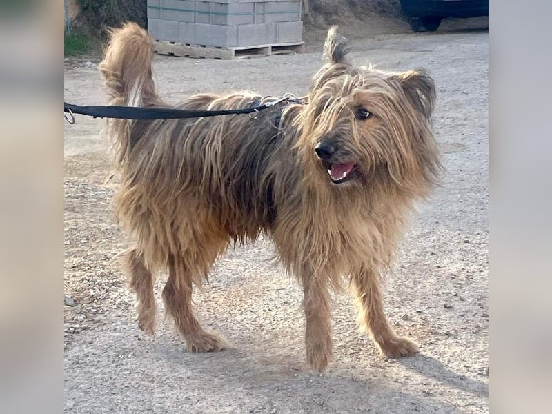 KINDER-sucht liebevolles Für-immer-Zuhause