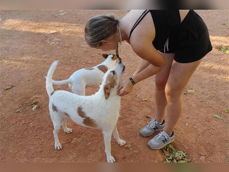 Benji und Dali werden nur gemeinsam vermittelt, da sie quasi „eins“ sind