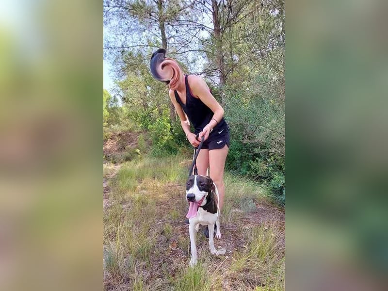 Cleo – versteht sich mit jedem