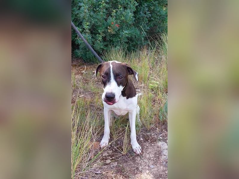 Cleo – versteht sich mit jedem