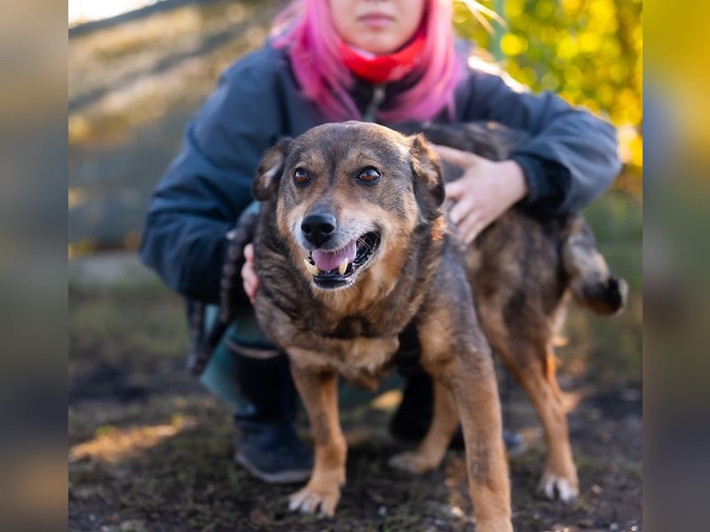 HOPE-ein liebes, fröhliches Mädchen mit sonnigem Gemüt hofft noch einmal auf ihre liebevolle Familie