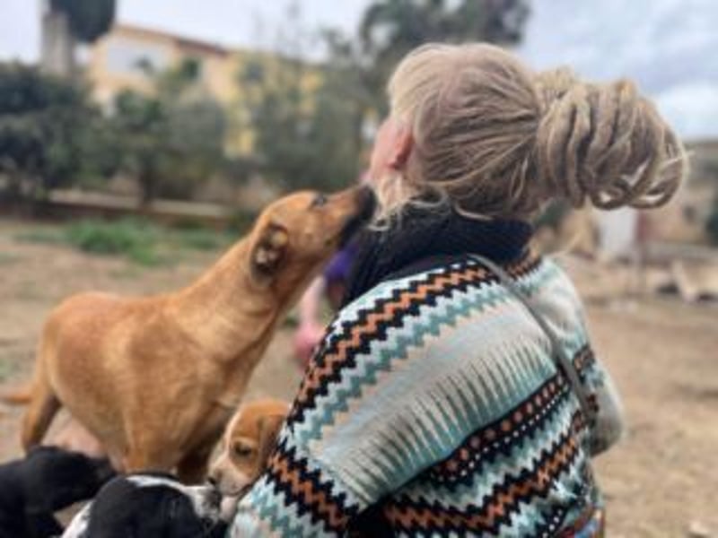 NANI- junge Hundemama mit großem Herzen sucht ihr eigenes Zuhause