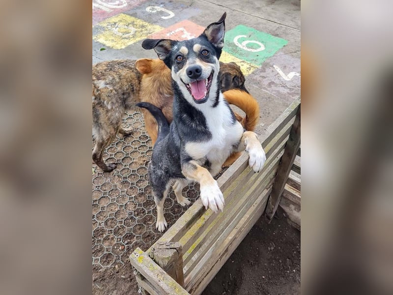 EREN-Lebensfreude pur, sie versüßt ede Minute des Tages-endlich in ihrem "Für-immer-Zuhause"?