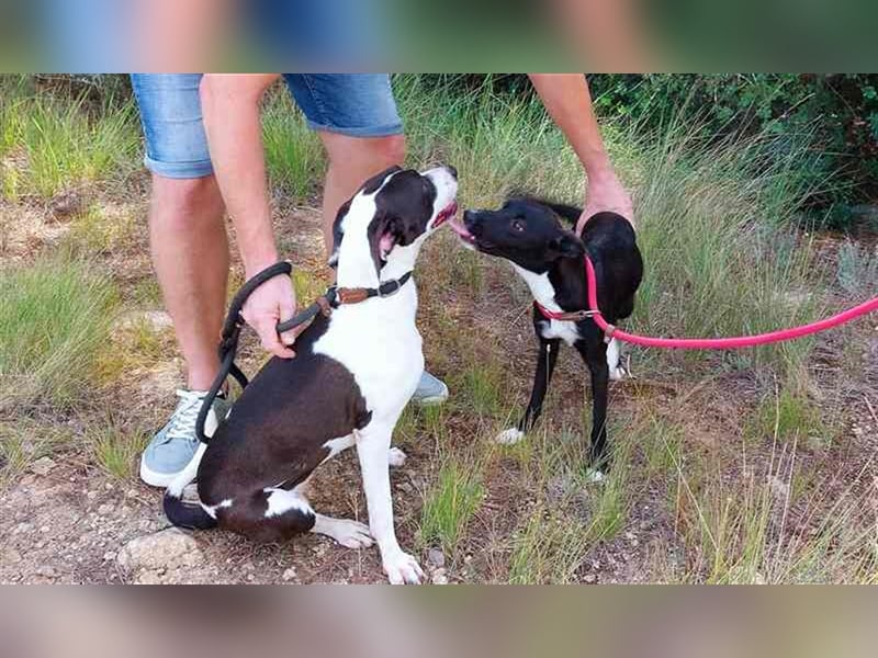 Cleo – versteht sich mit jedem