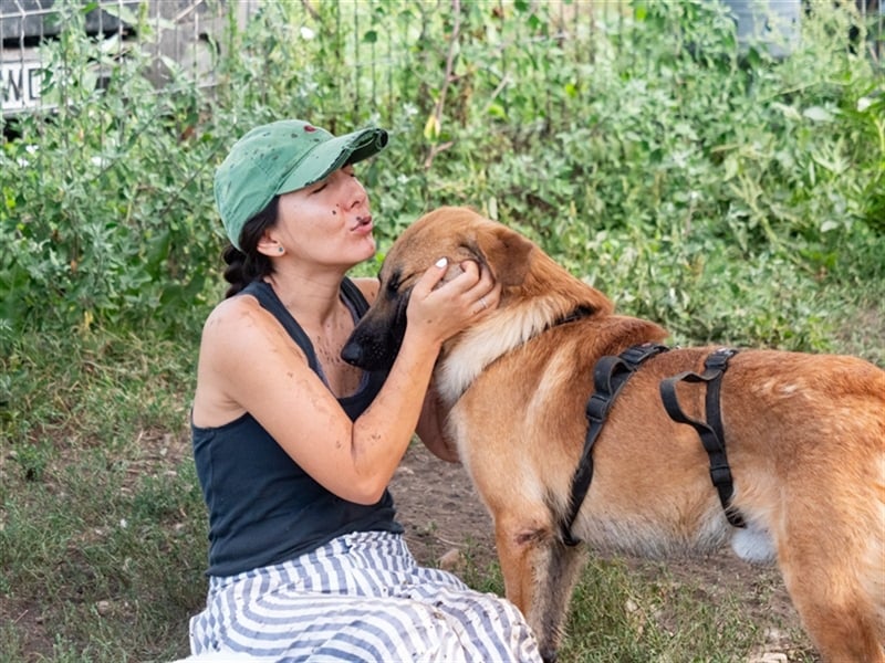 HUCKLEBERRY (Huck)-freundlich, mit sonnigem Gemüt