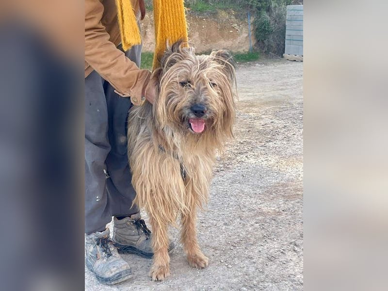 KINDER-sucht liebevolles Für-immer-Zuhause