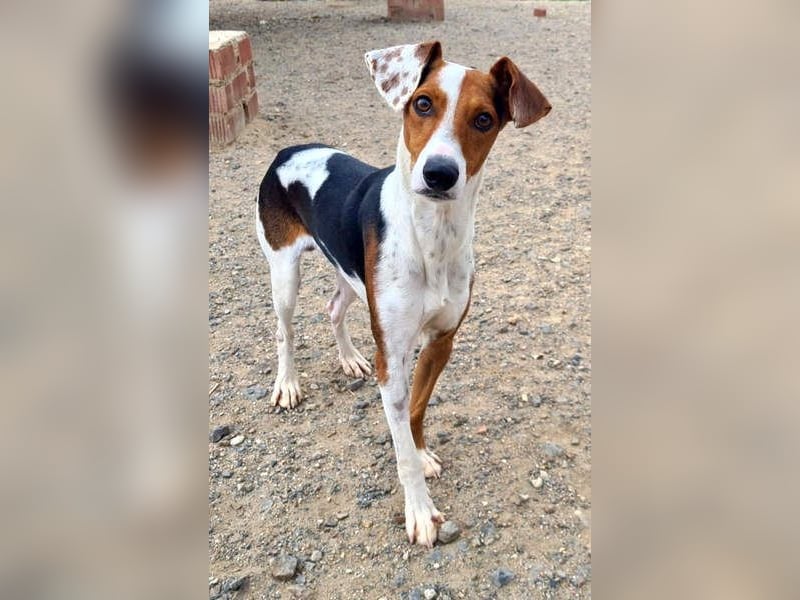 MANU-zauberhafter Bub voller Fröhlichkeit, Lebensfreude sucht seine liebevolle Für-immer-Familie