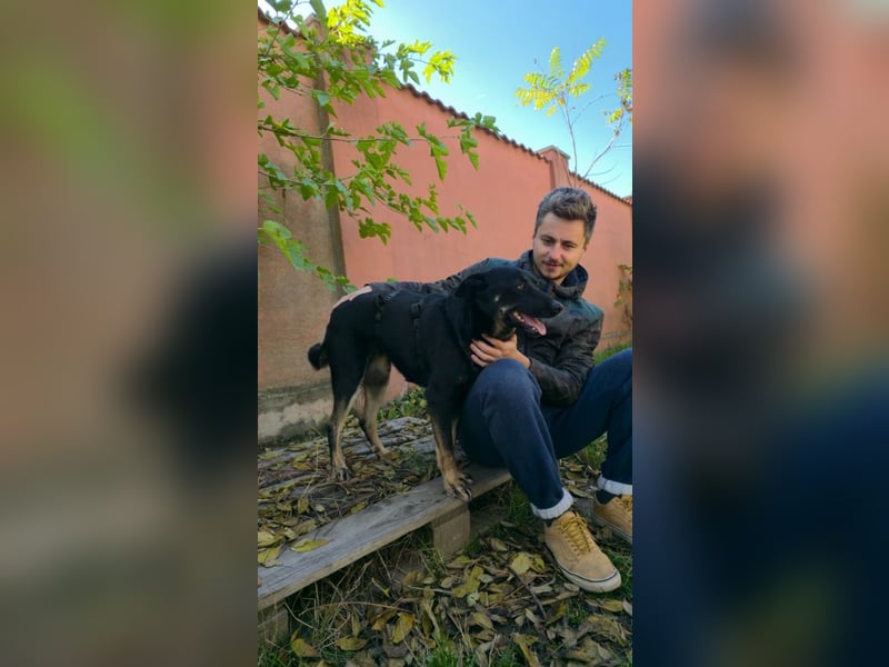 GLORIA- sehnt sich nach Liebe und Geborgenheit bei ihrer "Für-immer-Familie"