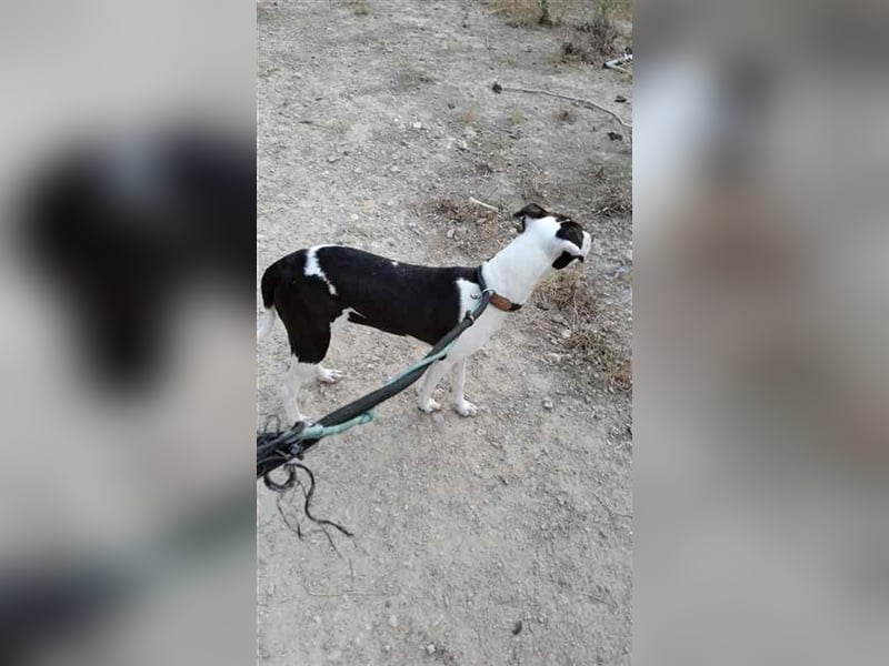 Cleo – versteht sich mit jedem