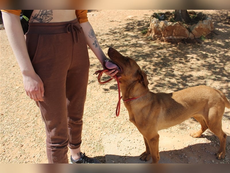 Carla – möchte den Menschen gefallen