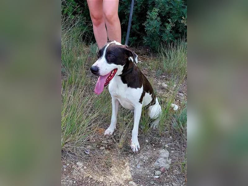 Cleo – versteht sich mit jedem