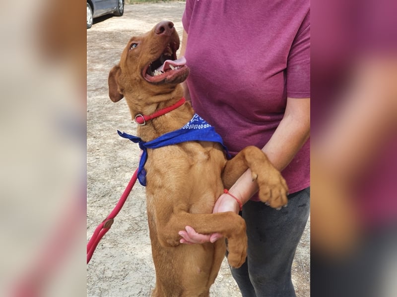 Carla – möchte den Menschen gefallen