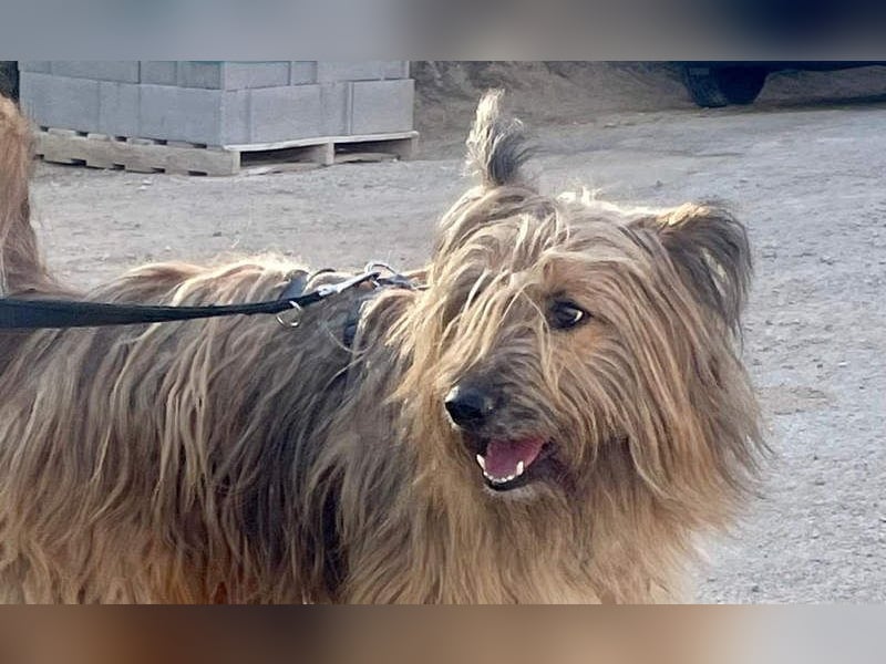 KINDER-sucht liebevolles Für-immer-Zuhause