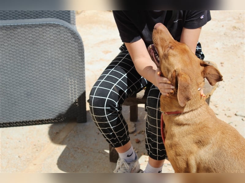 Carla – möchte den Menschen gefallen