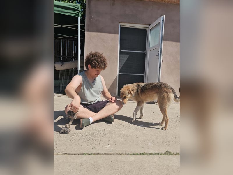 NINI - wundervolle Begleiterin sucht ihr liebevolles Für-immer-Zuhause