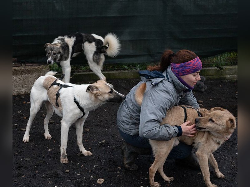 FINJA-sehr freundliche, liebes Mädchen sucht warmes, herzliches Zuhause