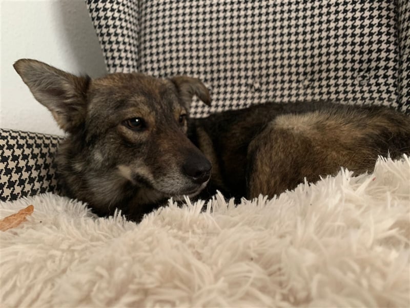 Nancy – wartet in 60529 Frankfurt auf deinen Besuch