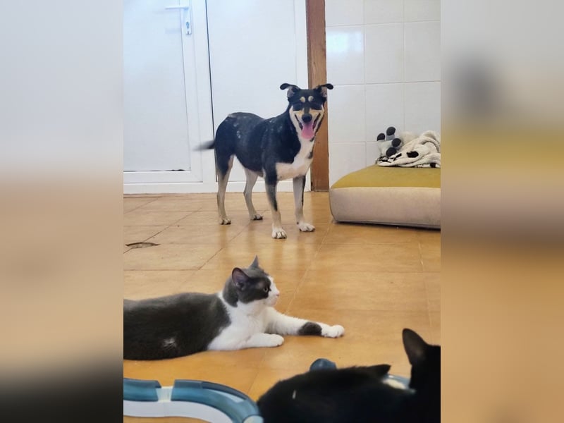 EREN-Lebensfreude pur, sie versüßt ede Minute des Tages-endlich in ihrem "Für-immer-Zuhause"?