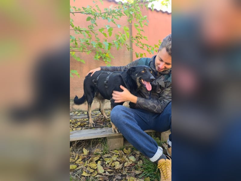 GLORIA- sehnt sich nach Liebe und Geborgenheit bei ihrer "Für-immer-Familie"