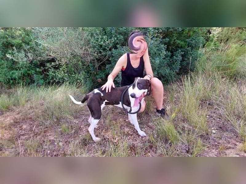 Cleo – versteht sich mit jedem