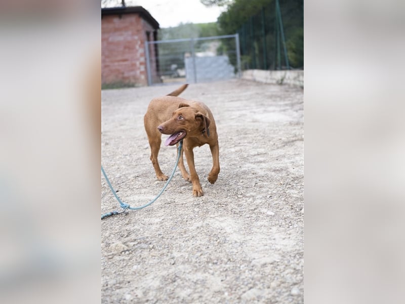 Carla – möchte den Menschen gefallen