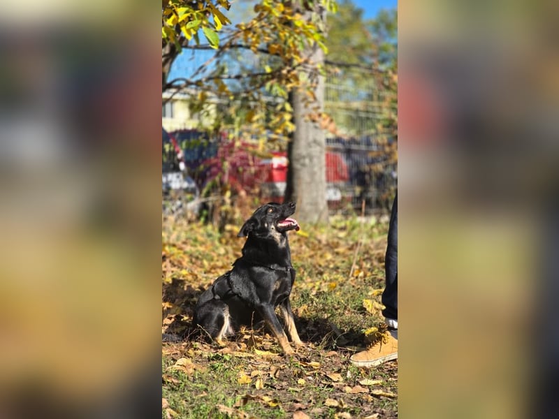 GLORIA- sehnt sich nach Liebe und Geborgenheit bei ihrer "Für-immer-Familie"