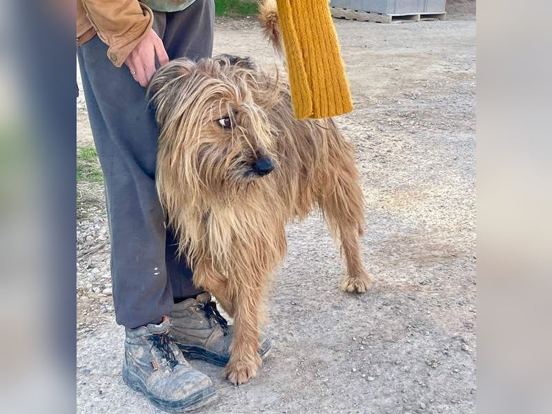 KINDER-sucht liebevolles Für-immer-Zuhause