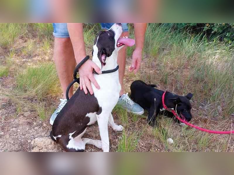 Cleo – versteht sich mit jedem