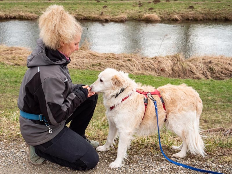 Nixe – wartet im Tierheim 79312 Emmendingen-geht neugierig, offen auf die Menschen zu
