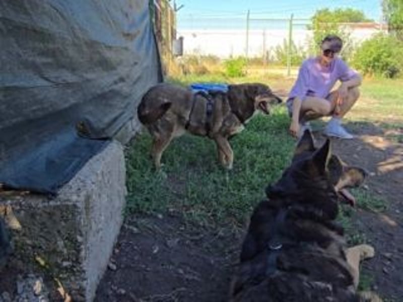 NORA-absulut liebenswertes Wesen