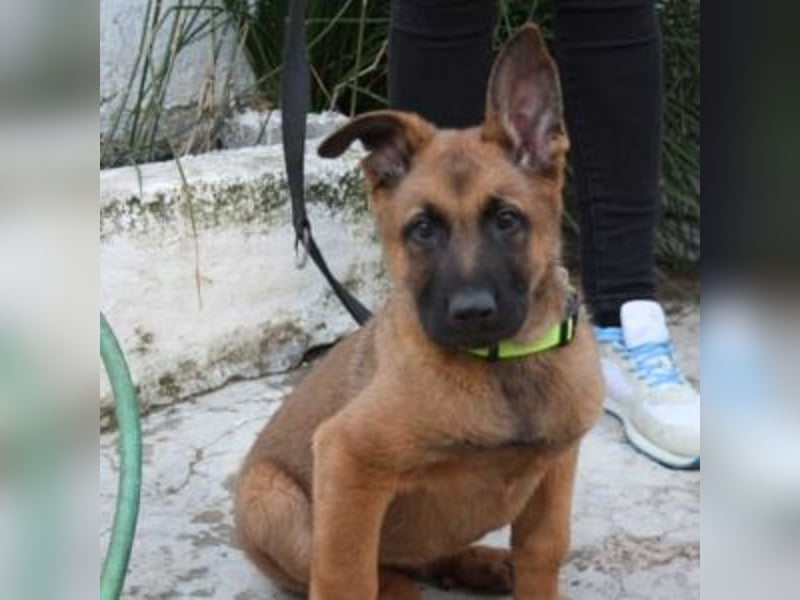 THOR-belohnt seine künftige Familie, in dem er ganz viel Liebe zurückgibt