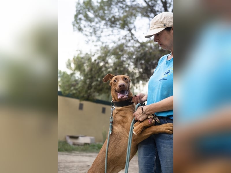 Carla – möchte den Menschen gefallen