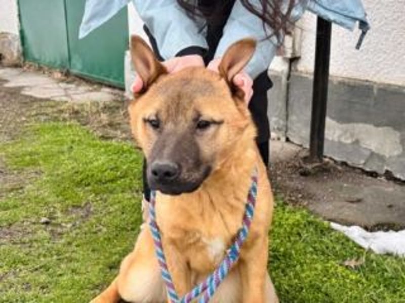 ATHENA-möchte sich die Welt durch Schnüffeln, Buddeln, Planschen, Toben und Herumjagen erkunden