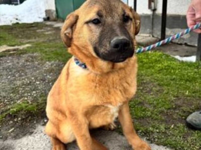 ATHENA-möchte sich die Welt durch Schnüffeln, Buddeln, Planschen, Toben und Herumjagen erkunden