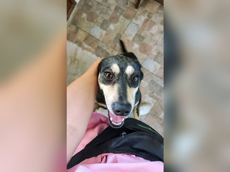 EREN-Lebensfreude pur, sie versüßt ede Minute des Tages-endlich in ihrem "Für-immer-Zuhause"?